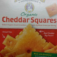 Organic Cheddar Squares