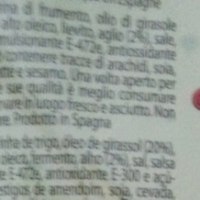 PanTosto all'aglio