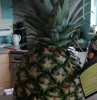 Pineapple