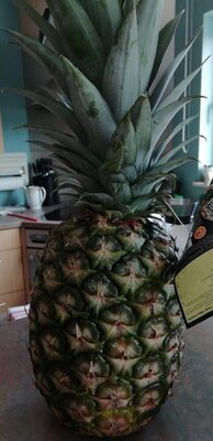 Pineapple Pineapple
