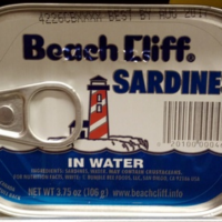 Sardines in Water