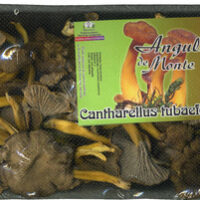 Setas angula de monte