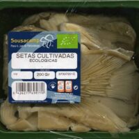 Setas de ostra ecológicas "Sousacamp"