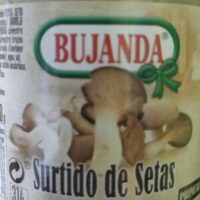 Surtido de setas