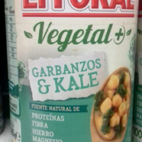 Vegetal garbanzos & kale