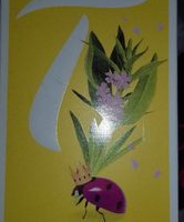 Verveine Bio