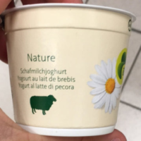 Yogourt au Lait de Brebis