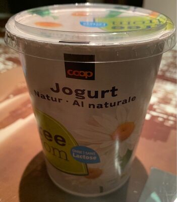 Yogurt Nature Yogurt nature