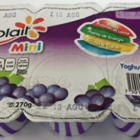 Yoplait Mini
