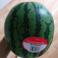Rot Kernarm