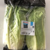 Salad Romaine