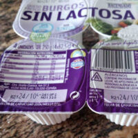 Fresh Cheese without Lactose