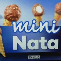 Mini Nata