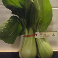 Pak Choy Bunch