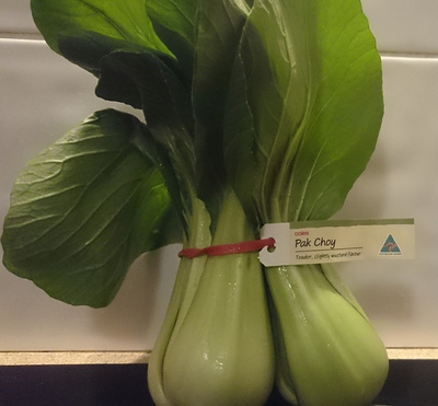 Pak Choy Bunch Pak Choy Bunch