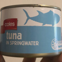 tuna in springWater