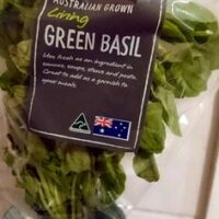 Living Green Basil Living Green Basil