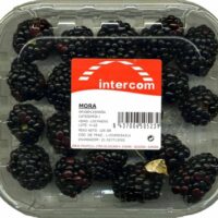 Blackberries "Intercom"