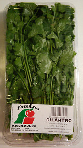 Hojas from Cilantro fresco Hojas from Cilantro fresco