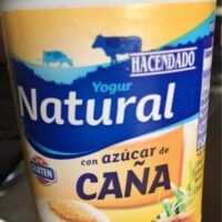 Yogurt Natural with Sugar from Caña
