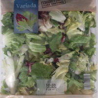 Salad variada