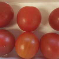 Tomato cherry Flavor