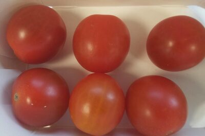Tomato cherry Flavor Tomato cherry Flavor