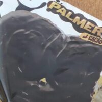 Palmera Cocoa