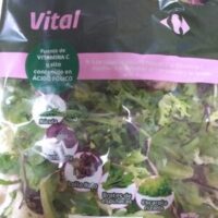 Salad vital