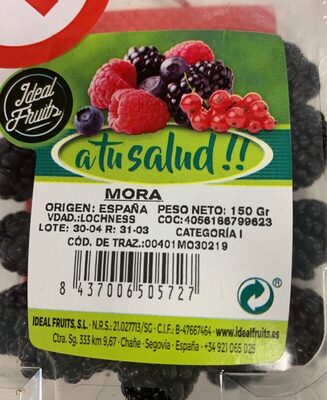 Mora Mora