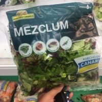 Lechuga mezclum