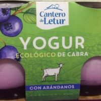 Yogurt ecologico from Cabra with Blueberrys Yogurt ecologico from Cabra with Blueberrys