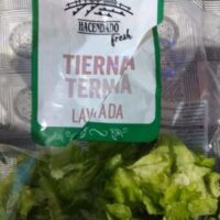 Lechuga Tierna Lavada Lechuga Tierna Lavada