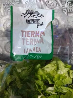 Lechuga Tierna Lavada Lechuga Tierna Lavada