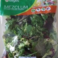 Salad mezclum