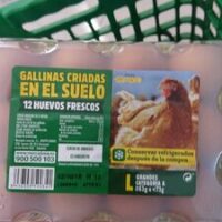 Huevos gallinas criadas in el suelo