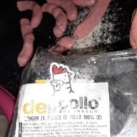 Longaniza Fresh from Pollo 100%
