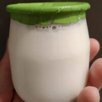 Eco Yogurt Natural Desnatado