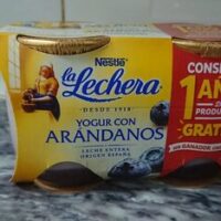 Yogurt with Blueberrys