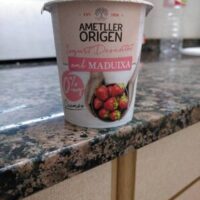Yogurt desnatat amb maduixa 0% Less Fat
