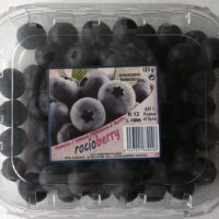 Blueberrys