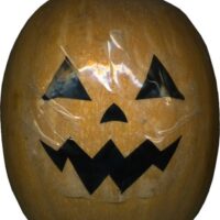 Pumpkin from Halloween
