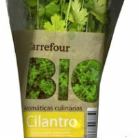 Maceta from Cilantro
