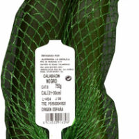 Zucchini