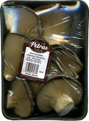 Setas from Ostra Setas from Ostra