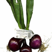 Spring Tender Onions Red