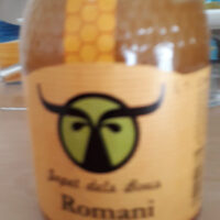 valet from Te bous Romani