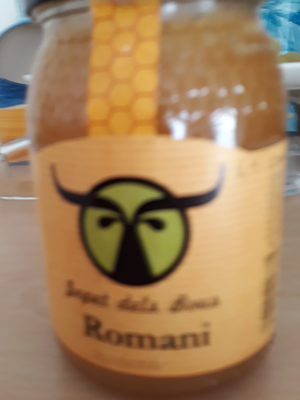 valet from Te bous Romani valet from Te bous Romani