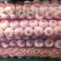 Ristra Garlic