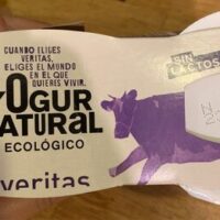 Yogurt Natural ecologico